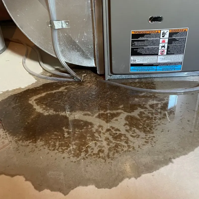 Pipe Burst and Leak Restoration in Cheyenne County, KS