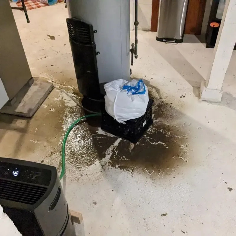Sewage Backup Cleanup Service in Cheyenne County, KS